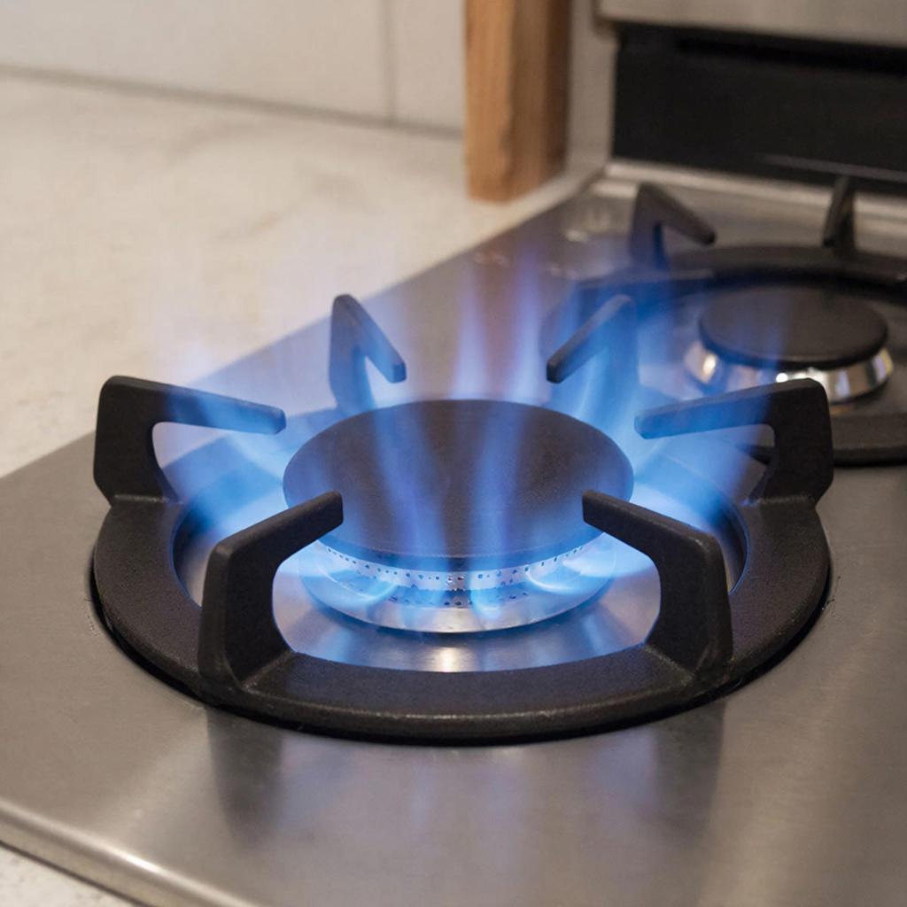 Газ могут отключить за недопуск проверяющих: новые правила с марта 2026 года