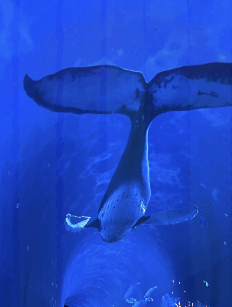 Гороскоп на 8 марта