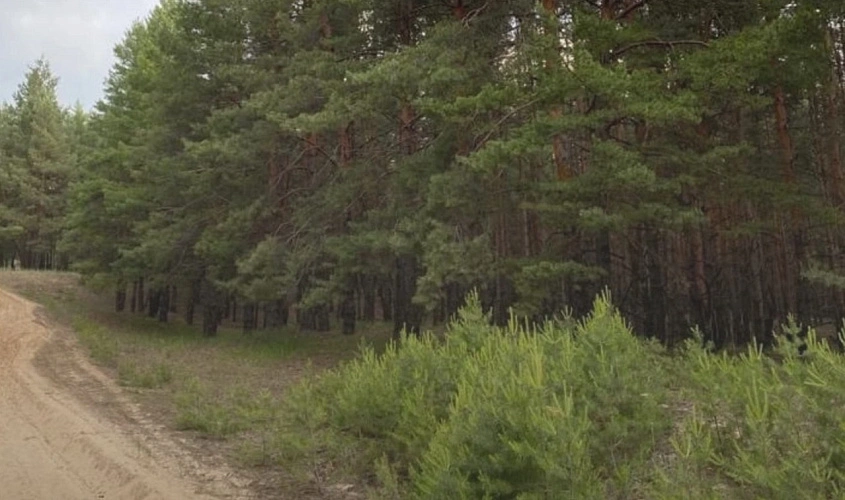 Охотничий сезон закрывается: до конца февраля — последние дни для добычи пушнины и кабана