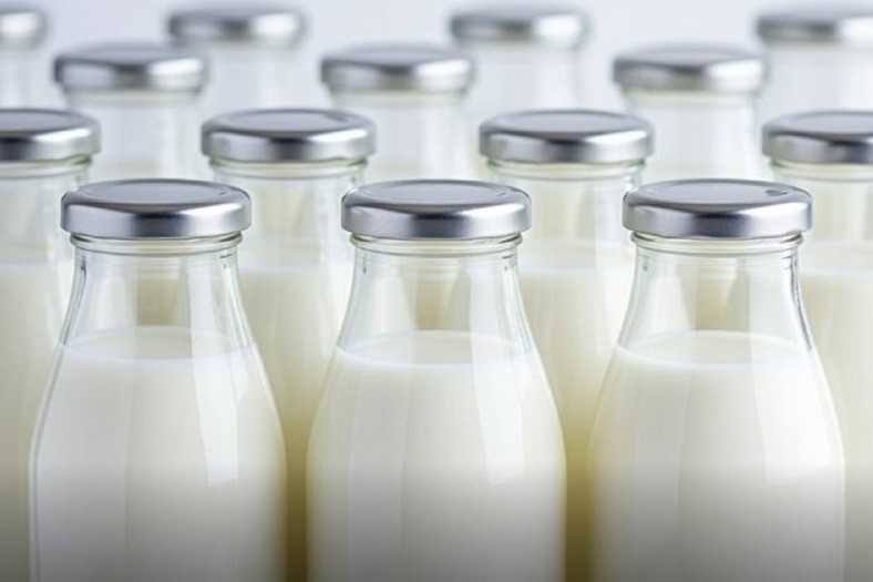 Ростовская область: положительная динамика молокопереработки в 2025 году и планы на 2026