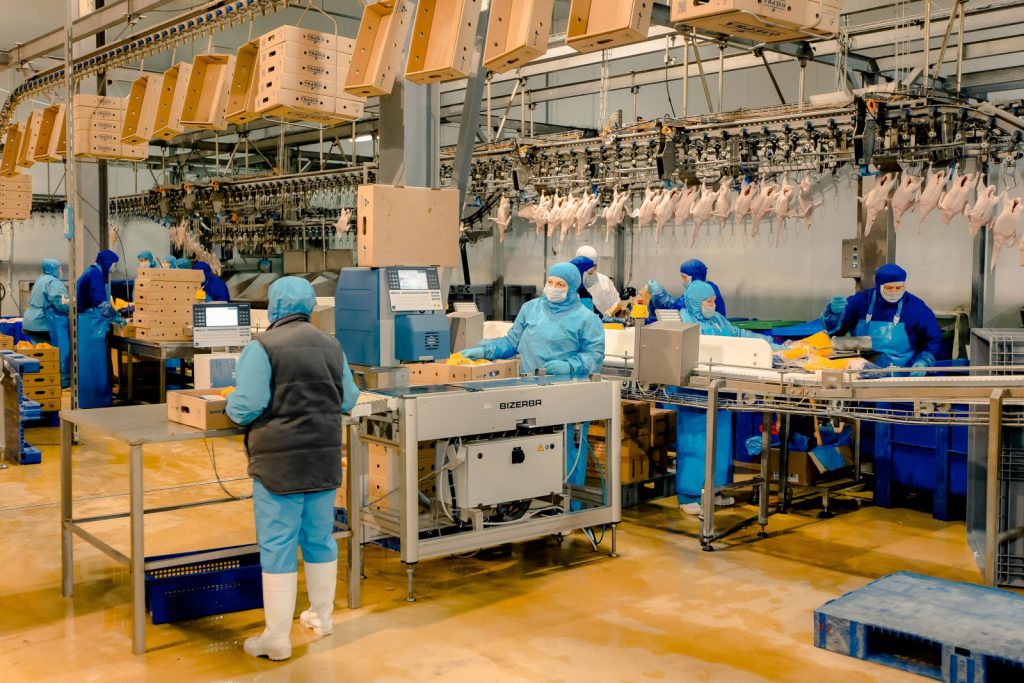 От утки к успеху: Как Ростовская область становится птицеводческим гигантом и почему это важно для вас!