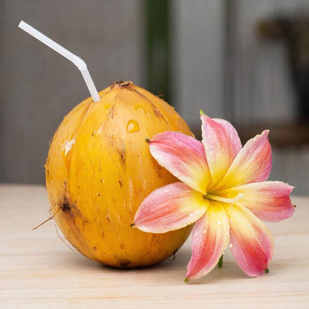 Путь домой: российские туристы в ОАЭ ищут альтернативные маршруты на фоне транспортного коллапса