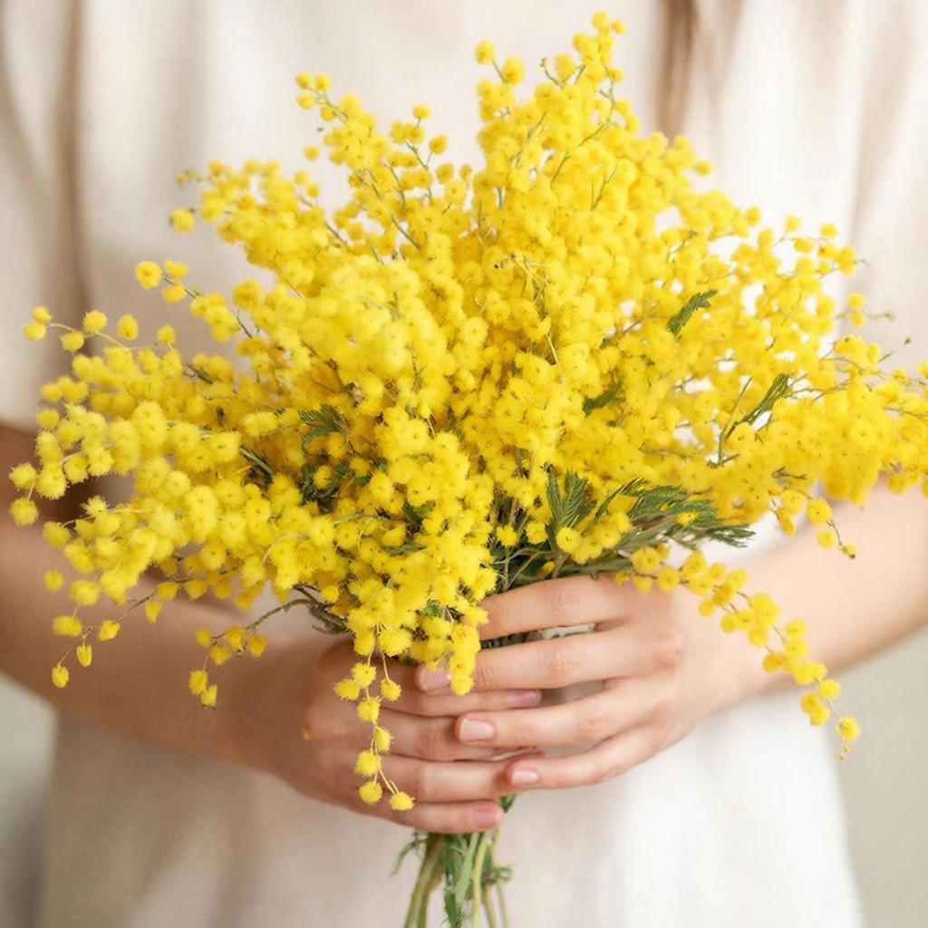 8 Марта: Инструкция по применению женских сердец