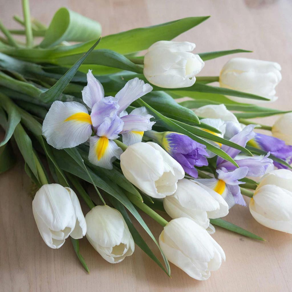 Цветущая опасность: как выбрать букет к 8 Марта и не принести домой вредителей