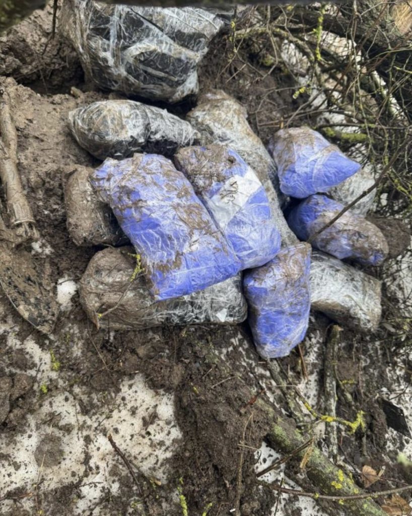 Полиция Ростовской области задержала межрегионального наркокурьера с 12 кг синтетики