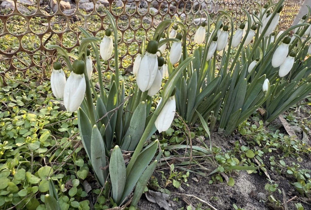 День памяти святителя Тарасия: защита Православия, борьба с лихорадкой и народные приметы