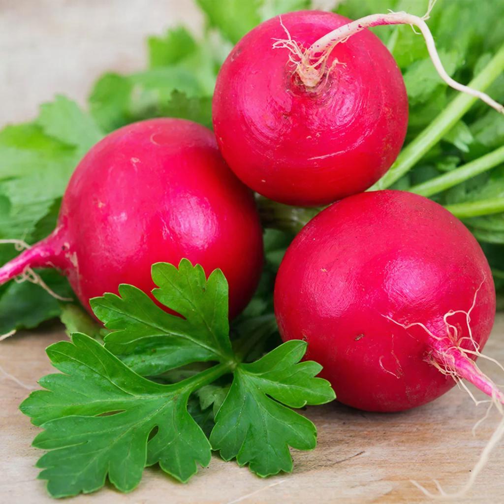 Весеннее пробуждение: полная подготовка теплицы к сезону в марте