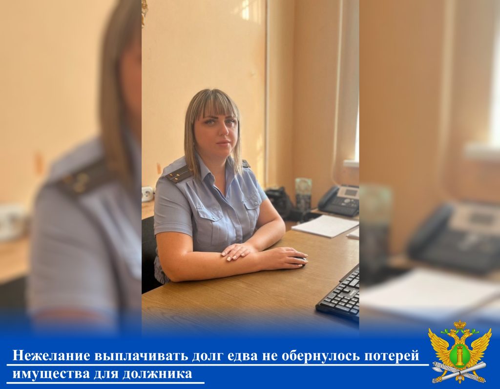 Нежелание выплачивать долг едва не обернулось потерей имущества для должника