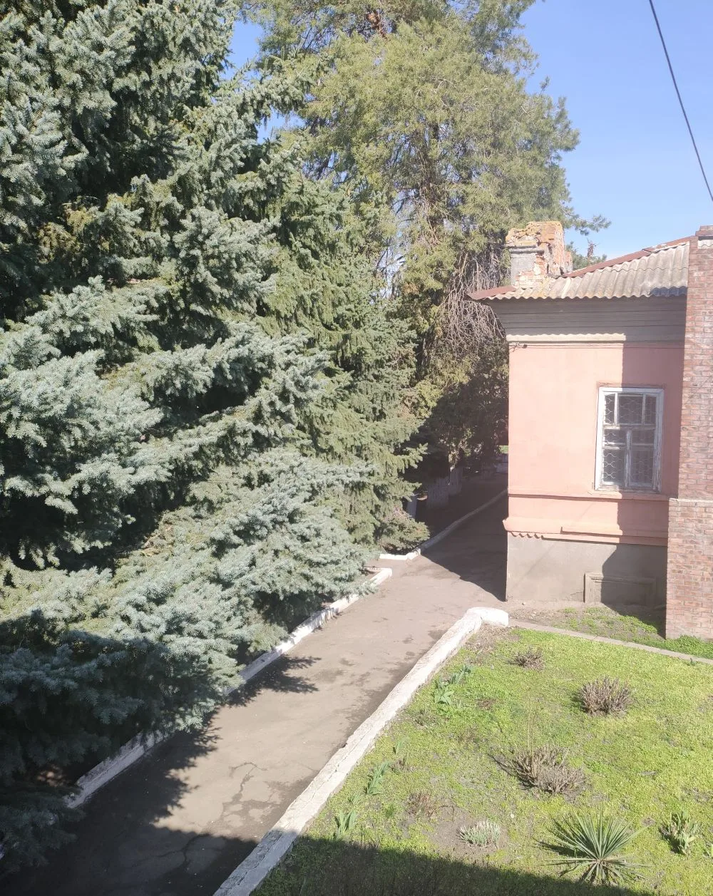 30 марта: Вербная неделя, день Алексия Тёплого и народные приметы