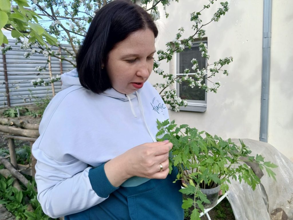 Что посадить в апреле в саду и теплице? 