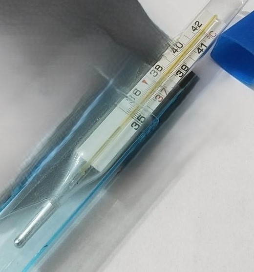 Геморрагическая лихорадка с почечным синдромом: риски и профилактика в весенний период