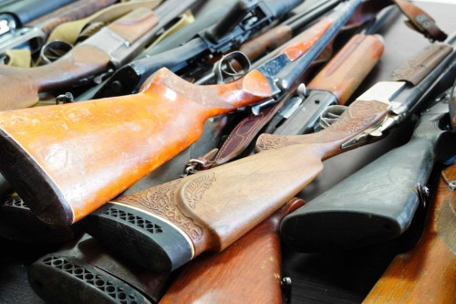 Сдай оружие – получи деньги: В Ростовской области стартовала Программа выплаты вознаграждений за добровольную сдачу вооружения