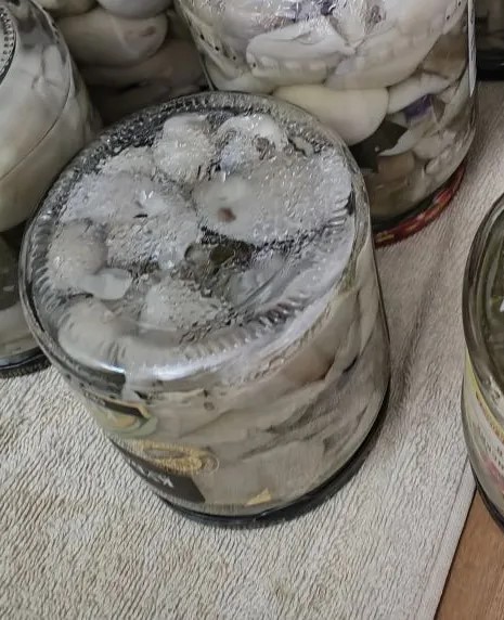 Вкуснейшие маринованные шампиньоны: простой рецепт