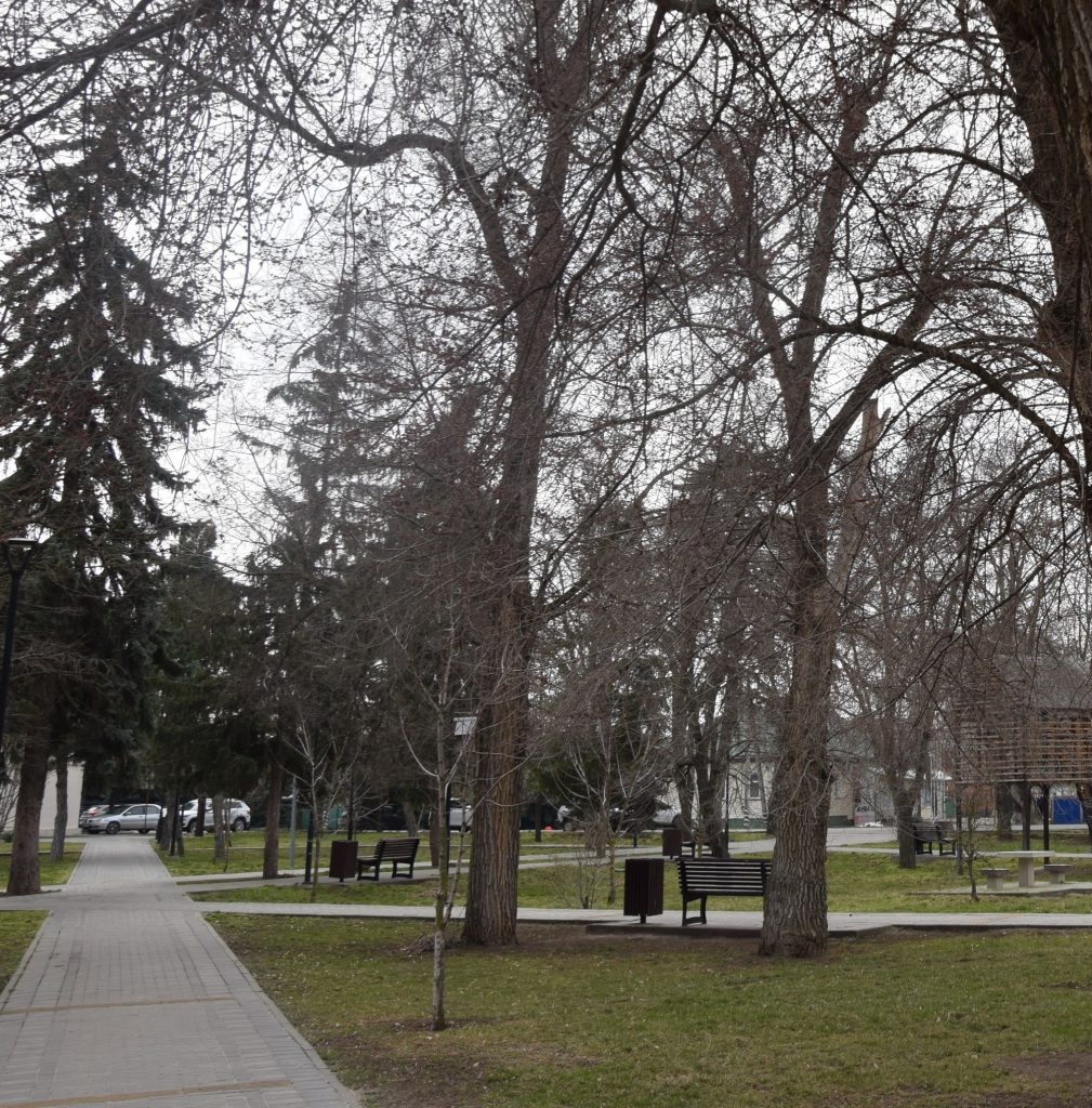 Солнечная погода на Пасху в Мартыновском районе