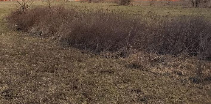 Нарушение земельного законодательства в Волгодонском районе