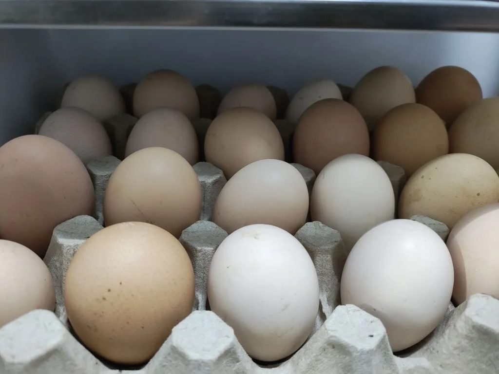 Рост цен в Ростовской области: говядина, яйца, хлеб и не только