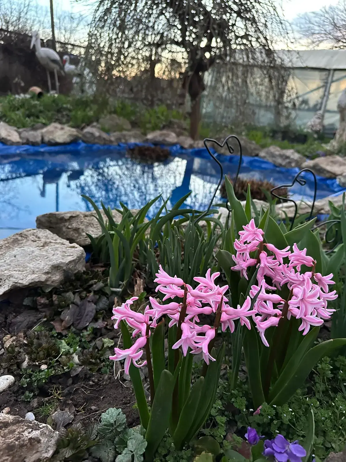 Апрель: Время активной подготовки теплицы к сезону