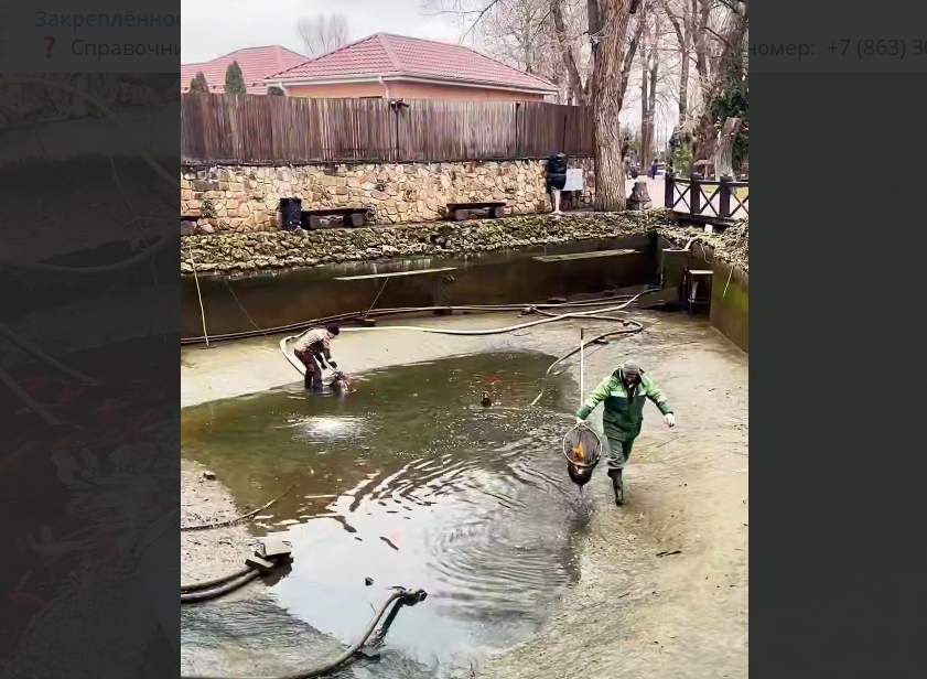 Весеннее очищение прудов в парке «Лога»