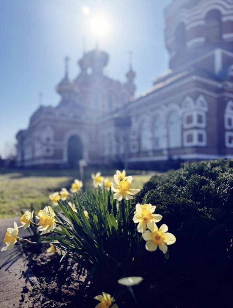 40 дней радости: Почему Пасху празднуют не один день и что важно сделать на Светлой неделе