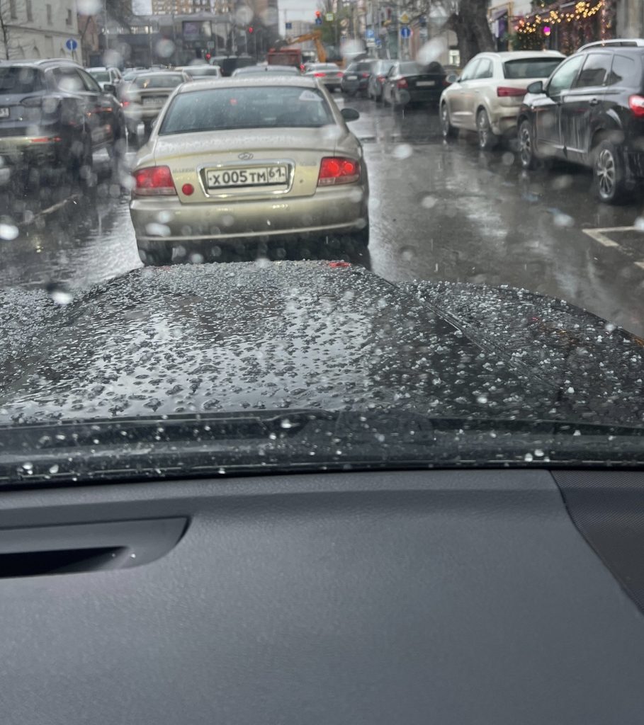 Град незваный гость: Мартыновский район в тревоге за урожай и сады