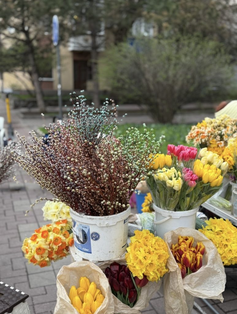 Солнечная, но с характером: прогноз погоды на 11 апреля в Мартыновском районе
