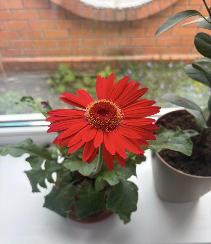 В Мартыновском районе резкое похолодание