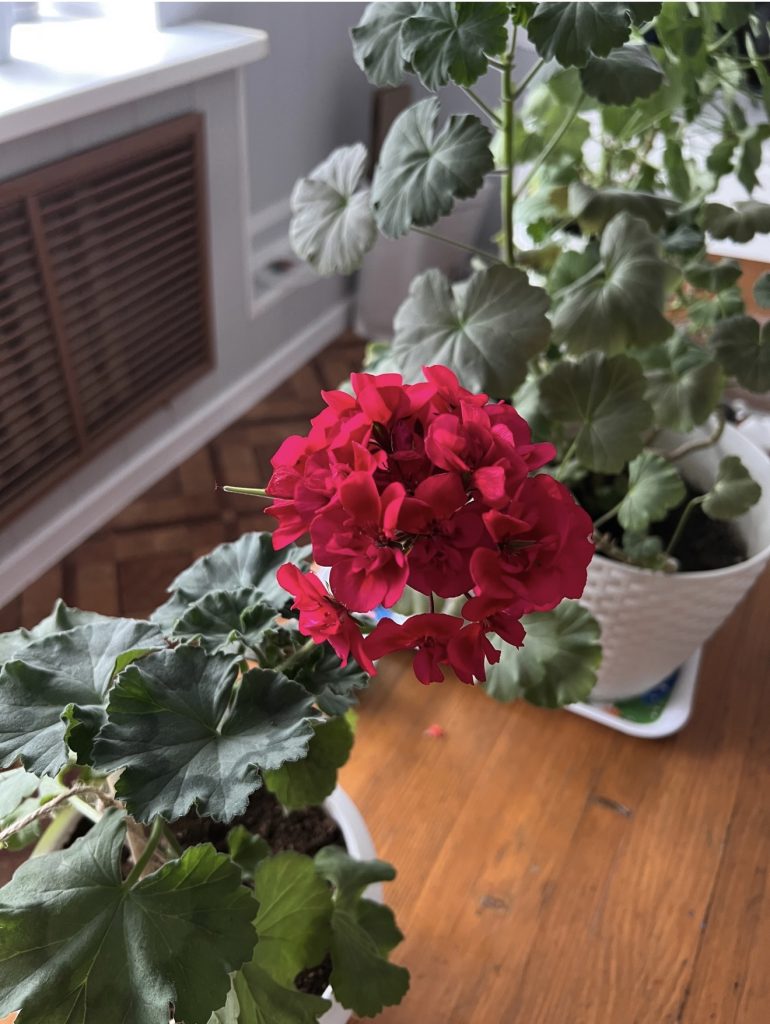 15 апреля: Светлая среда, народные приметы