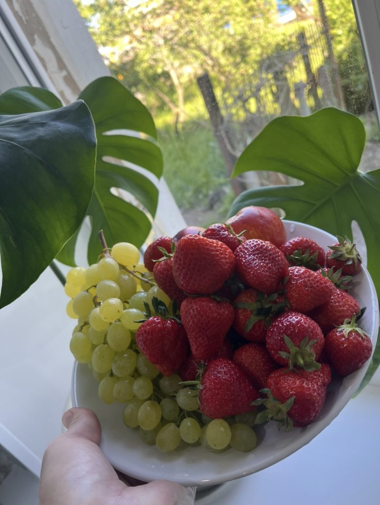 Горчичный порошок для клубники: секрет опытного садовода против вредителей без химии