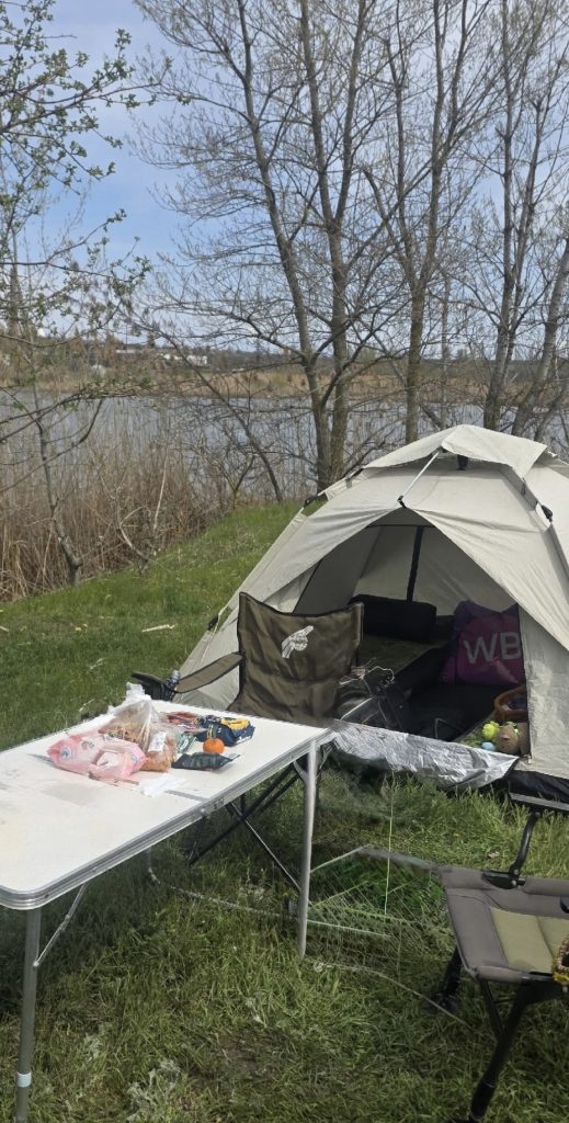 Идеальная суббота для прогулки: в Мартыновском районе обещают солнце и +12°