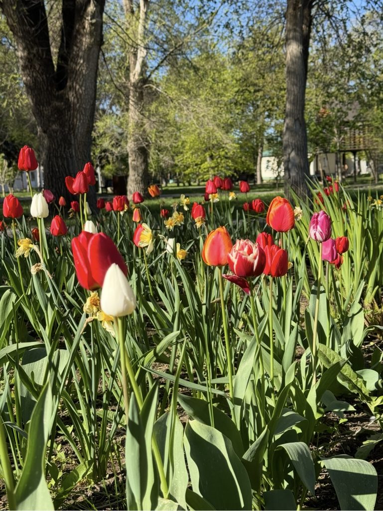 Важный прогноз для жителей Мартыновского района: 27 апреля – день для тепла и дома