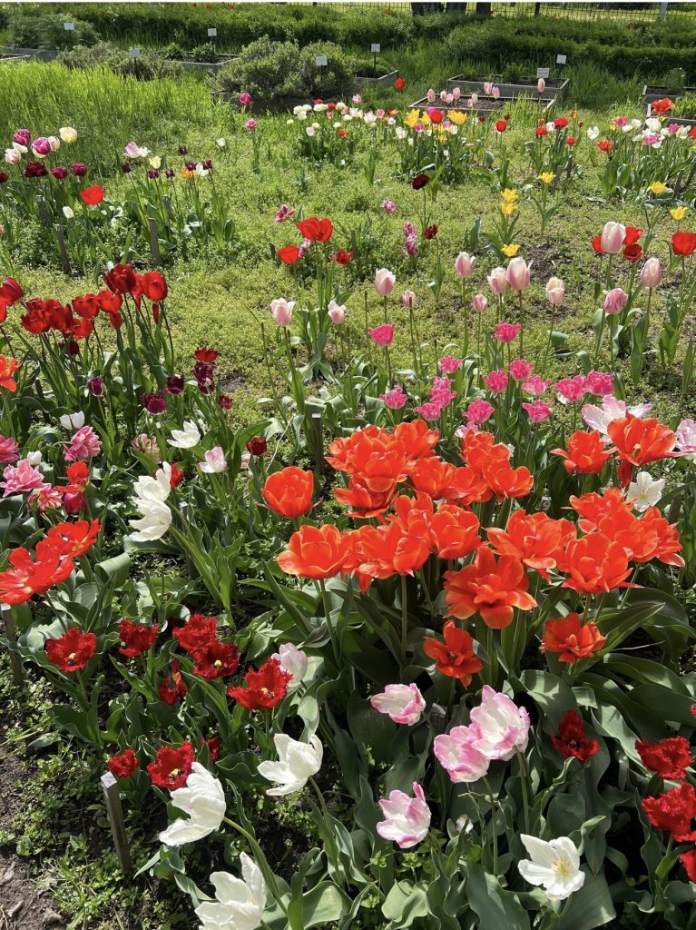 «Поймай солнце до дождя»: в Мартыновском районе 29 апреля — идеальный день для прогулок и планов