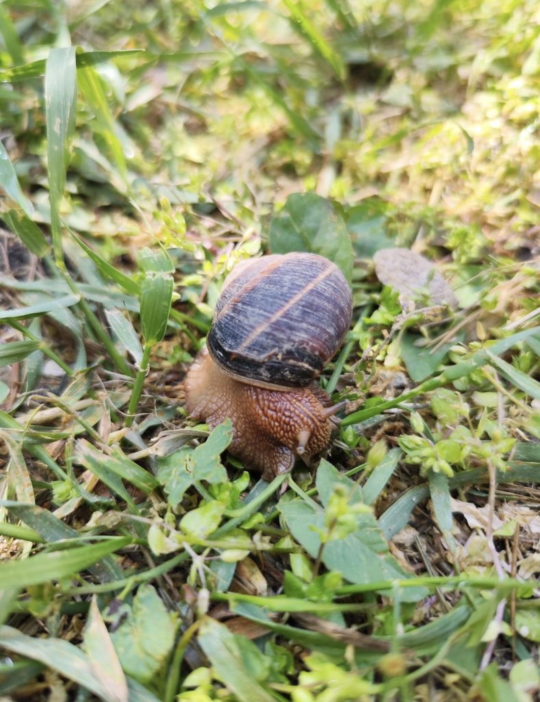 Апрель уходит красиво, но готовьтесь к сюрпризу: погода 30 апреля в Мартыновском районе