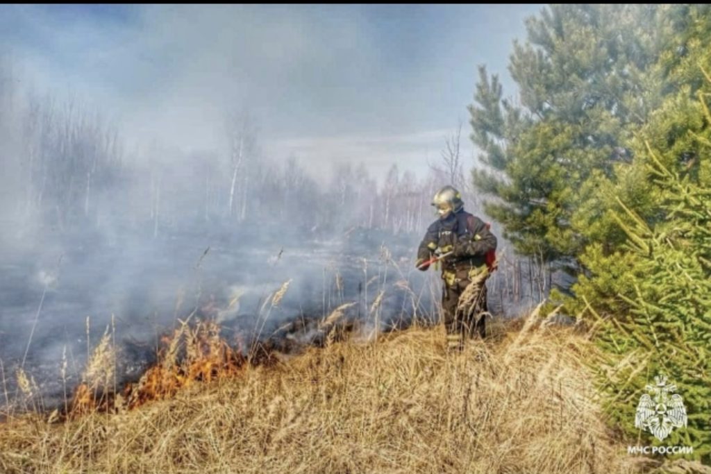 Праздник отваги и мужества: День пожарной охраны в Мартыновском районе