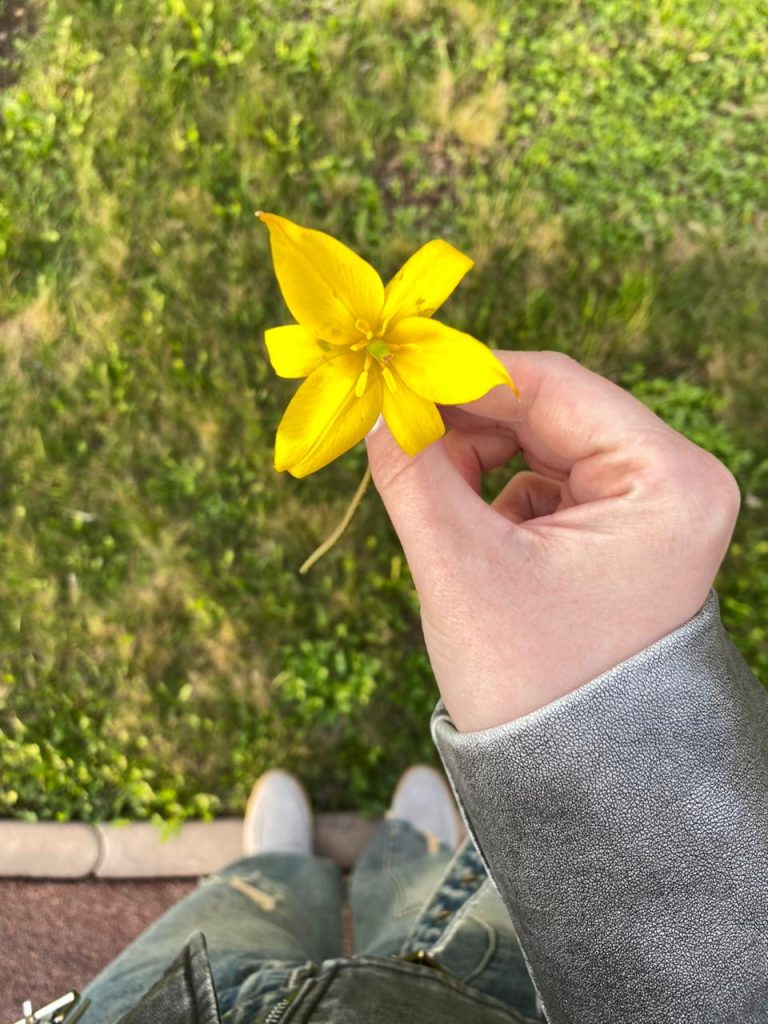 Весенняя аллергия: как встретить тепло без насморка и зуда