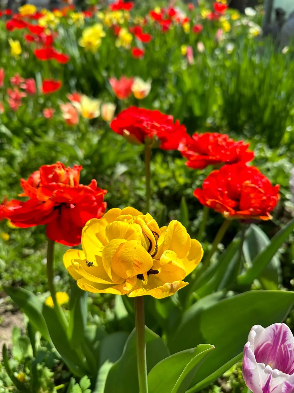 3 апреля: народные приметы и память святителя Кирилла