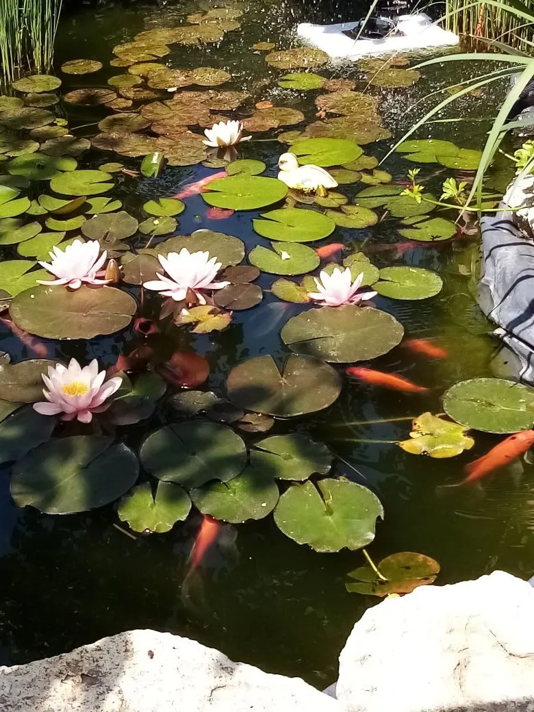 2 апреля в православном календаре: традиции, приметы и именины