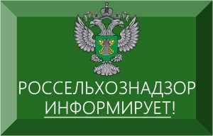 Нелегальные свалки биоотходов: Россельхознадзор наказал мясоперерабатывающее предприятие из Ростовской области