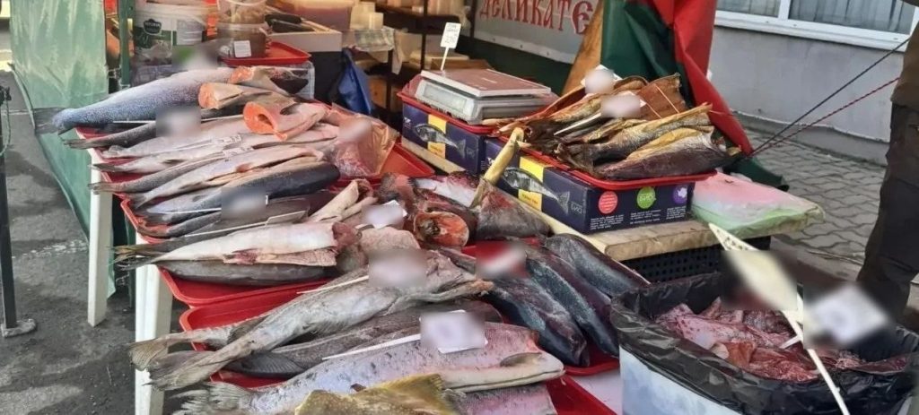 «Путина-2026»: В донской столице изъяли почти тонну нелегальной рыбы на 1,4 миллиона рублей