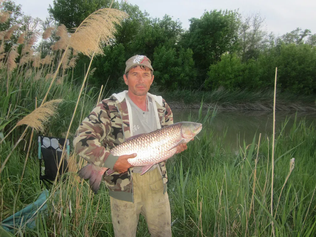 Рыбная ловля в Ростовской области: сезонные ограничения