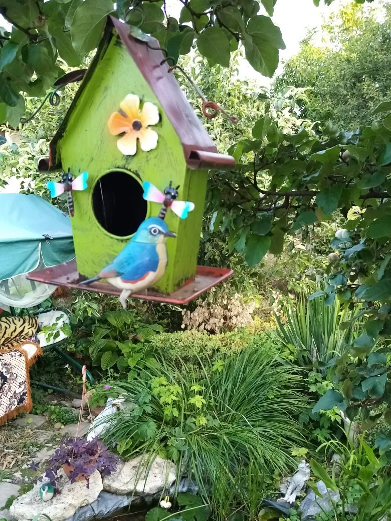 Весенняя подготовка дачного участка: советы эксперта