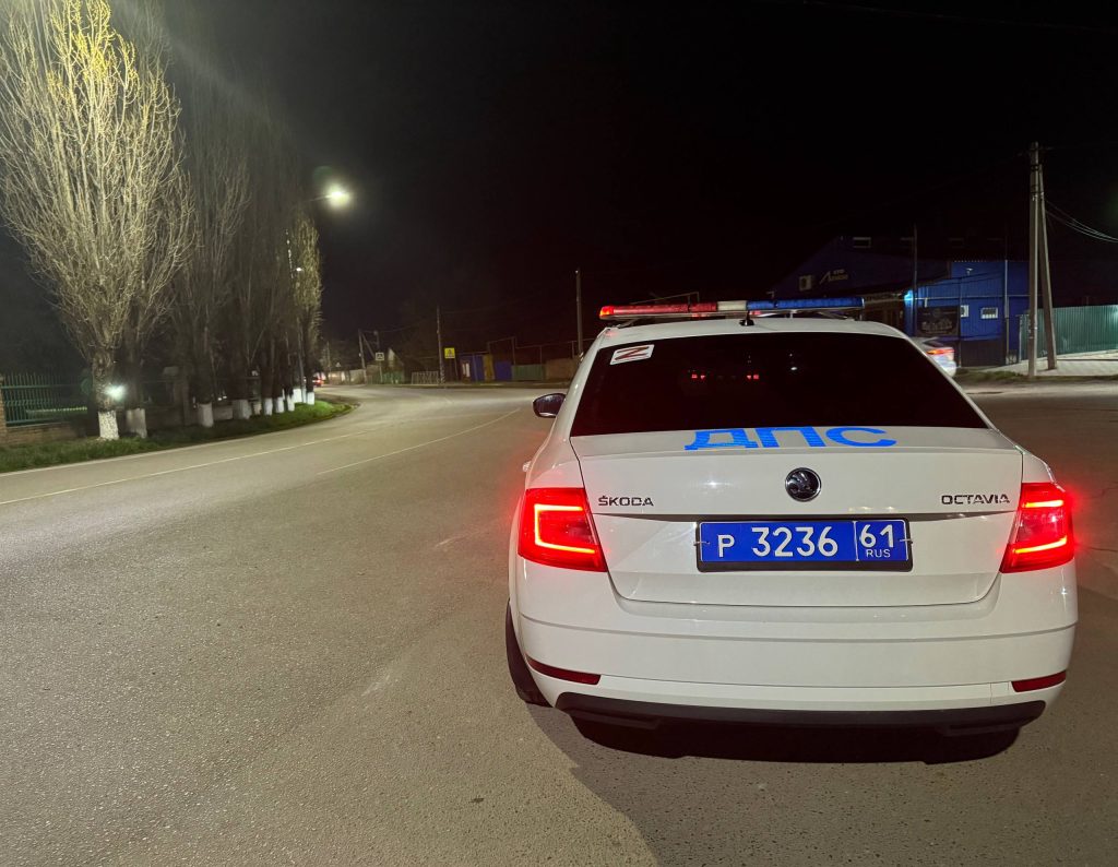 Спаси жизнь — сообщи о пьяном водителе: в Мартыновском районе стартует профилактическое мероприятие